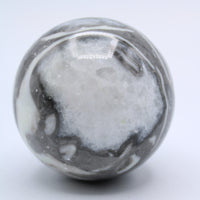 Fossilized Clam Sphere