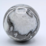 Fossilized Clam Sphere