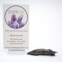 Black Kyanite Witches Broom Specimens