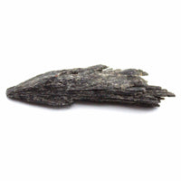 Black Kyanite Witches Broom Specimens