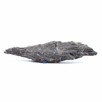 Black Kyanite Witches Broom Specimens