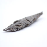 Black Kyanite Witches Broom Specimens