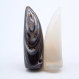 Botswana Agate Pack (2 Pack)