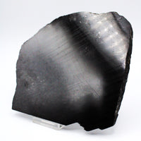 Hypersthene Slab