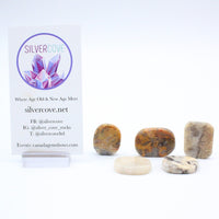 Crazy Lace Agate Thumb Stones