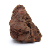 Coprolite Specimen