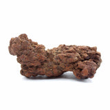 Coprolite Specimen