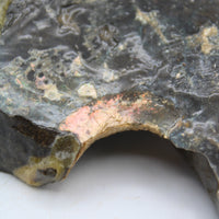 Polished Ammolite Specimen