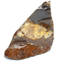 Polished Ammolite Specimen