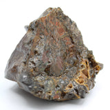 Polished Ammolite Specimen