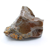 Polished Ammolite Specimen