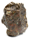 Polished Ammolite Specimen