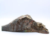 Polished Ammolite Specimen