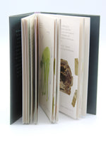 The Little Book Of Crystals By Judy Hall
