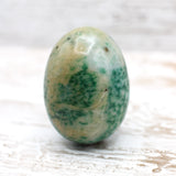 Tree Agate Egg