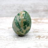 Tree Agate Egg