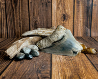 Megalodon Tooth (112g)