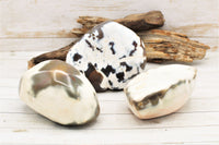 Freeform Polished Agate Specimens