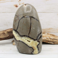 Polished Freestanding Septarian Nodule (Various Sizes)