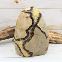 Polished Freestanding Septarian Nodule (Various Sizes)