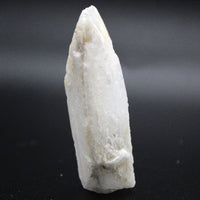 Danburite Specimen