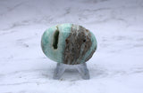 Caribbean Calcite Palm Stone