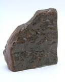 Polished Ammolite Specimen