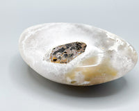 Freeform Polished Orca Agate Specimen