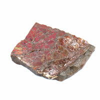 Polished Ammolite Specimen