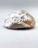 Freeform Polished Orca Agate Specimen