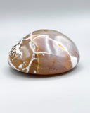 Freeform Polished Orca Agate Specimen