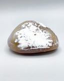 Freeform Polished Orca Agate Specimen