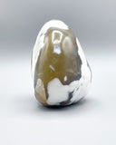 Freeform Polished Orca Agate Specimen