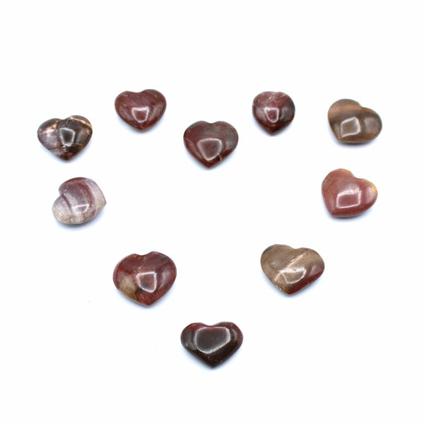 Petrified Wood Heart Carvings