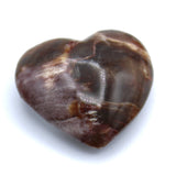 Petrified Wood Heart Carvings