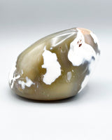 Freeform Polished Orca Agate Specimen