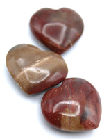 Petrified Wood Heart Carvings