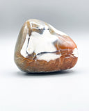 Freeform Polished Orca Agate Specimen