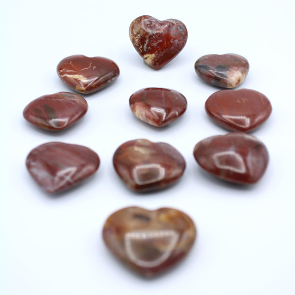 Petrified Wood Heart Carvings