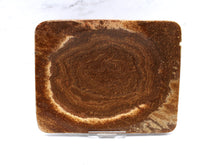 Aragonite Dish