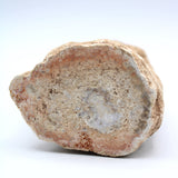 Petrified Wood