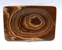 Aragonite Dish