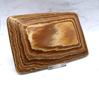 Aragonite Dish