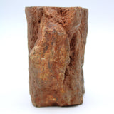 Petrified Wood