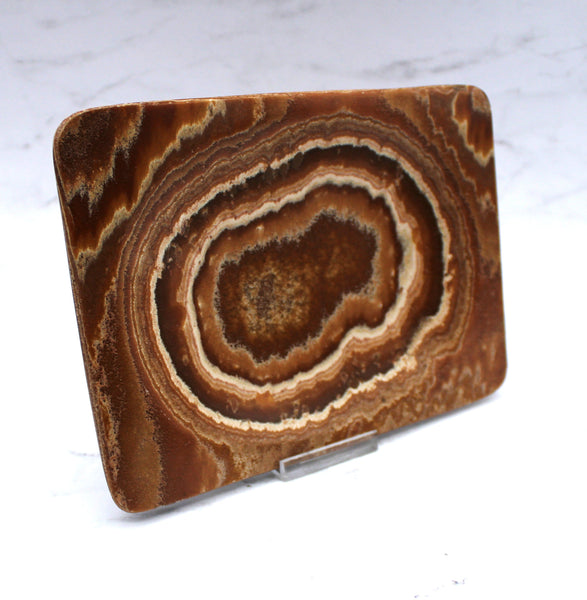 Aragonite Dish