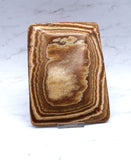 Aragonite Dish