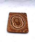 Aragonite Dish