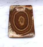 Aragonite Dish