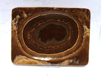 Aragonite Dish