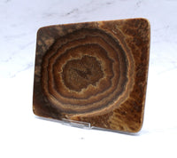 Aragonite Dish